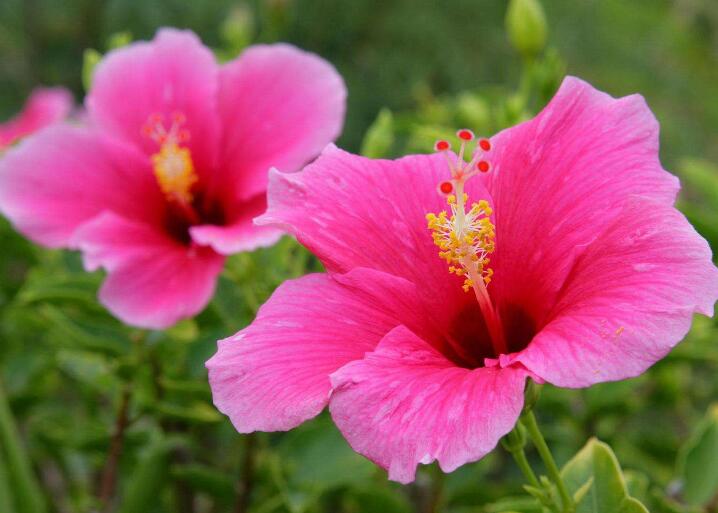 1639984225711379.jpg 1639984225711379.jpg