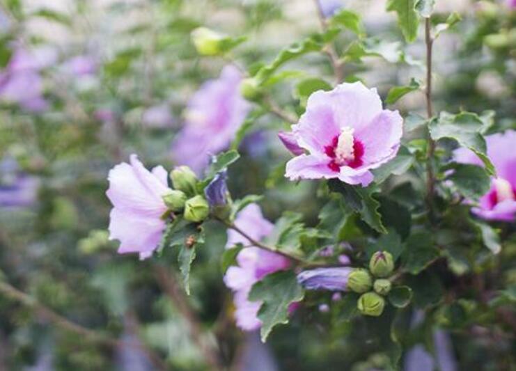 1640066963846696.jpg 1640066963846696.jpg