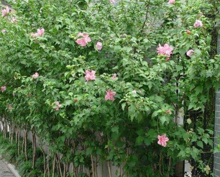 1640066988596621.jpg 1640066988596621.jpg