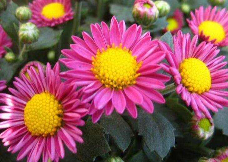 1640234382572553.jpg 1640234382572553.jpg