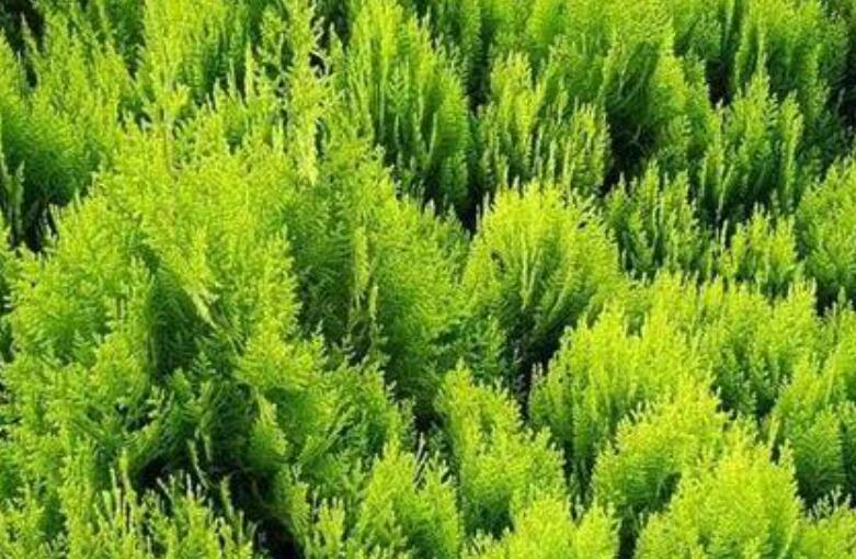 1640245369333212.jpg 11111.jpg