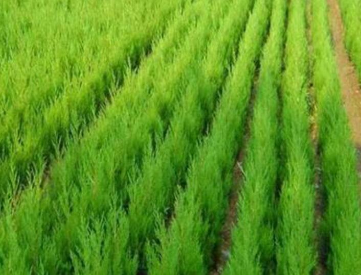 1640245383576515.jpg 222222222.jpg