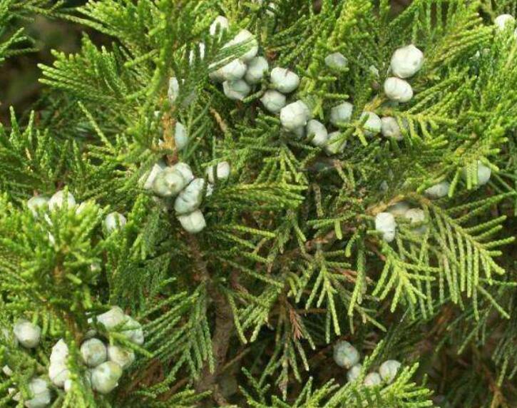 1640245391411617.jpg 33333.jpg