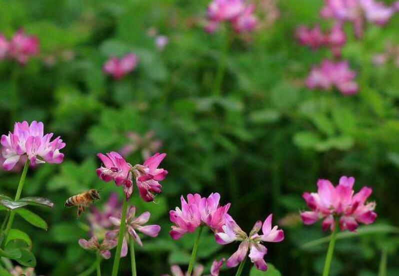 1640245828515932.jpg 1640245828515932.jpg