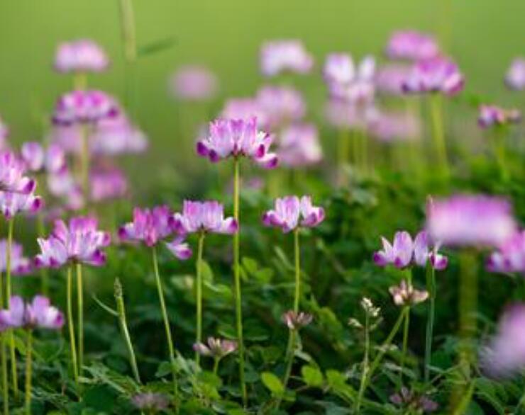 1640245835973473.jpg 1640245835973473.jpg