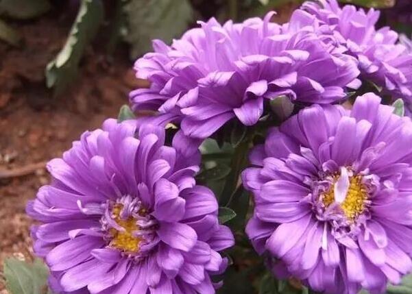 1640245876145565.jpg 2.jpg