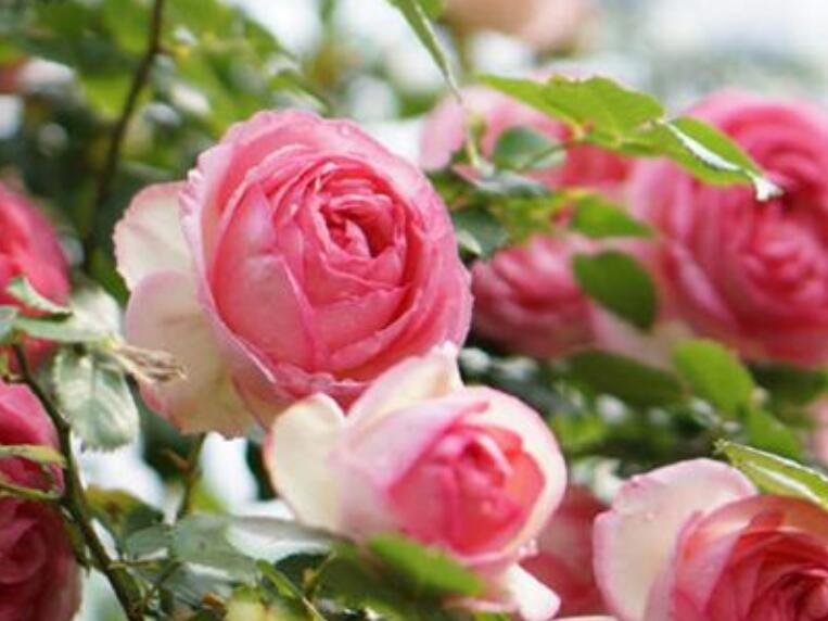 1640681324427773.jpg 1640681324427773.jpg