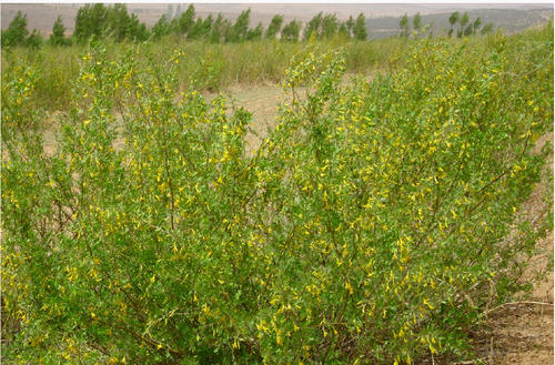 1641380292160434.jpg 1641380292160434.jpg