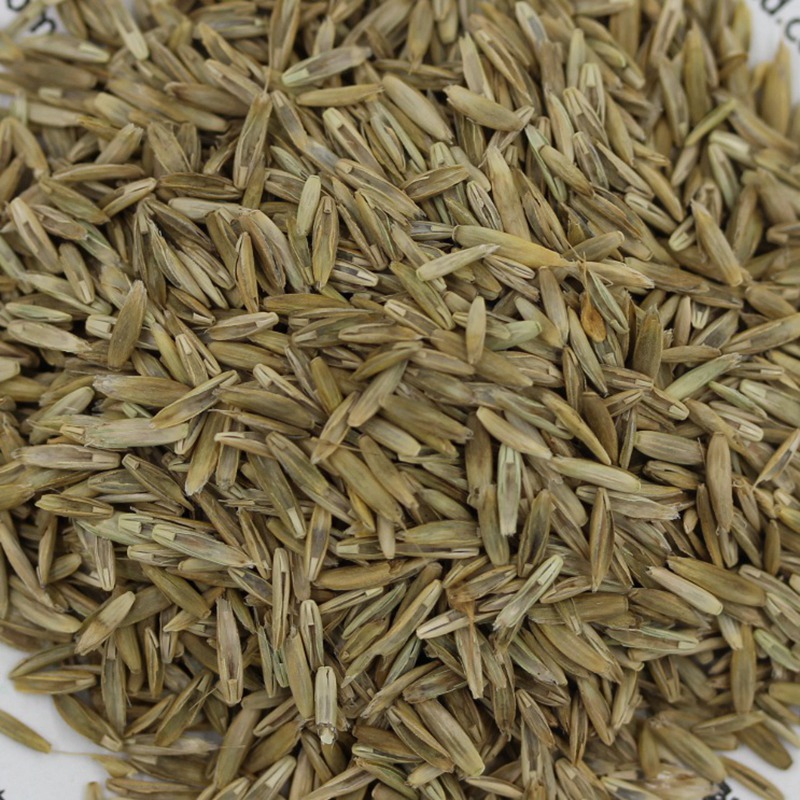 1641813594622962.jpg 1641813594622962.jpg