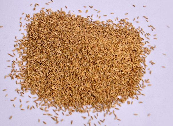 1641814047881272.jpg 1641814047881272.jpg