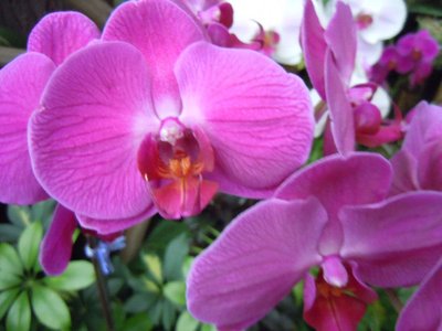 1642068676122553.jpg 1642068676122553.jpg