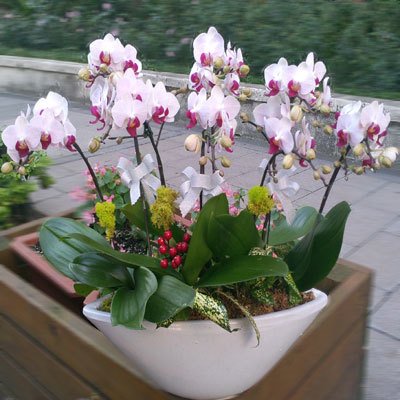 1642068693829128.jpg 1642068693829128.jpg