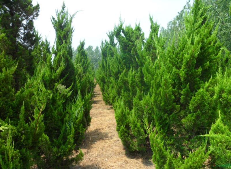 1643081458395872.jpg 1643081458395872.jpg