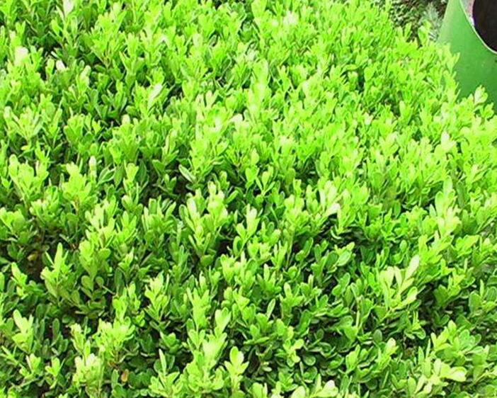 1643081596565672.jpg 1643081596565672.jpg