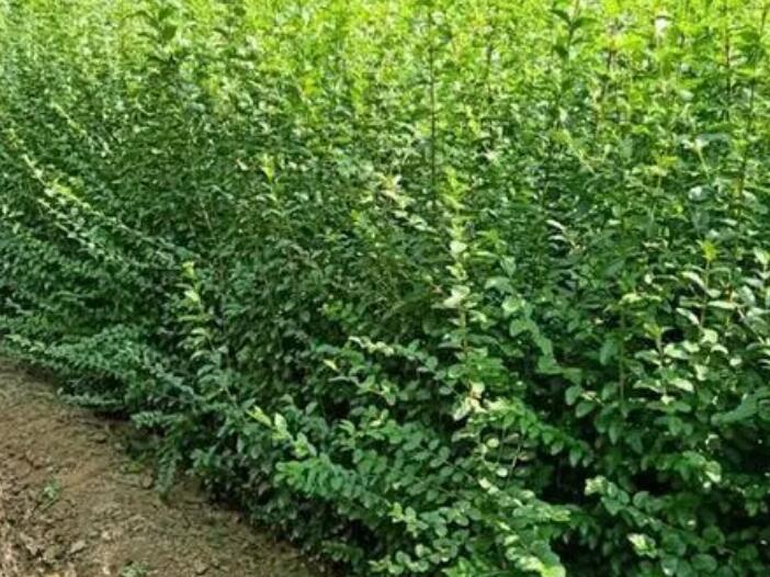 1643977201283808.jpg 1643977201283808.jpg