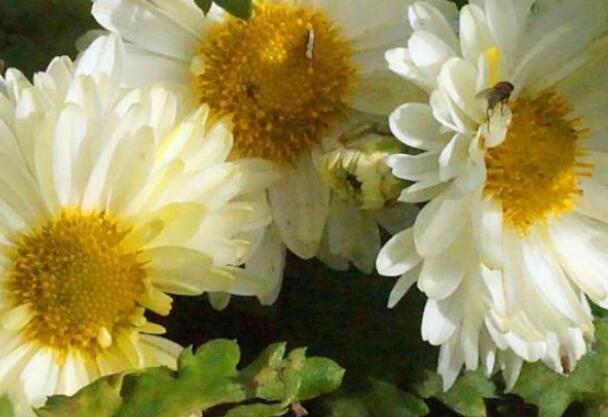 1643977423953489.jpg 1643977423953489.jpg