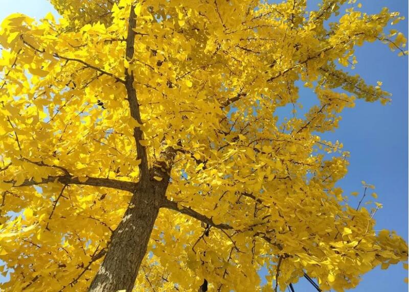 1643978679300404.jpg 1643978679300404.jpg