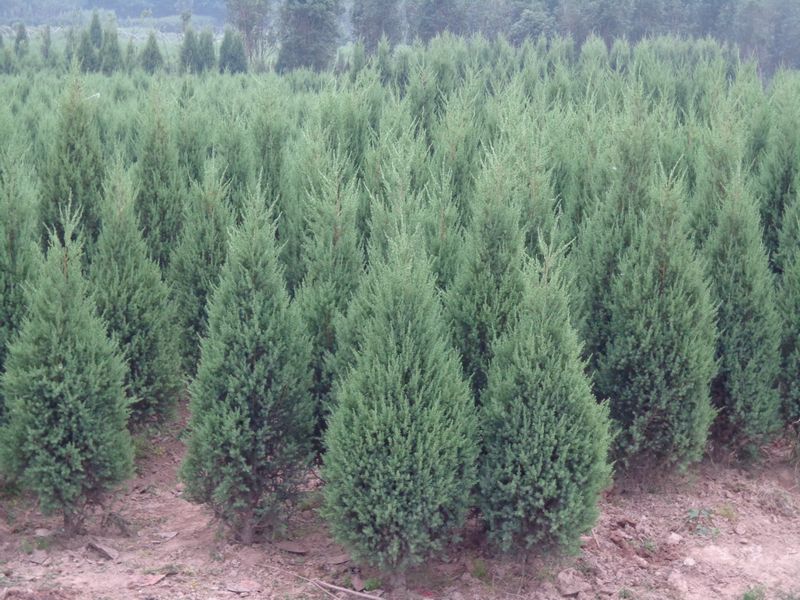 1644062127415540.jpg 1644062127415540.jpg