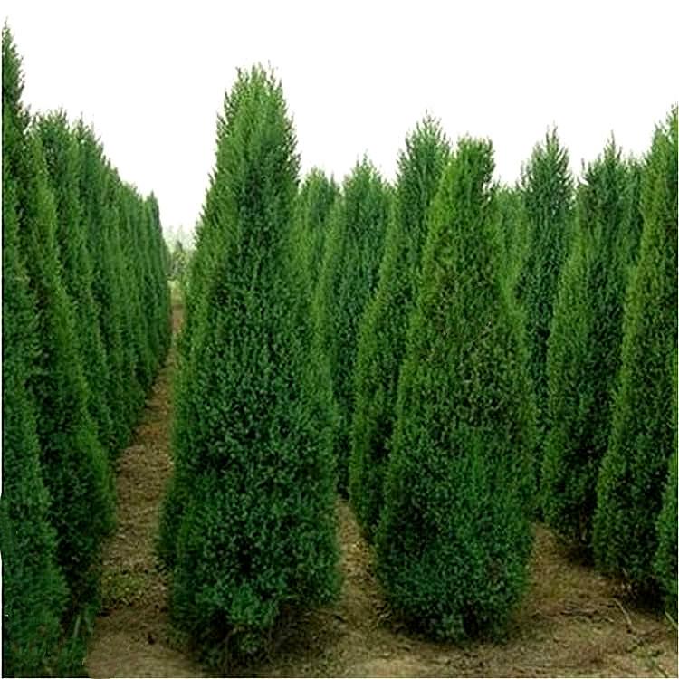 1644062170847279.jpg 1644062170847279.jpg