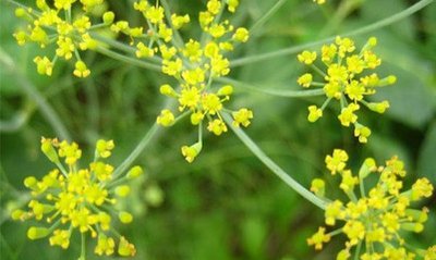 1644063430259066.jpg 1644063430259066.jpg