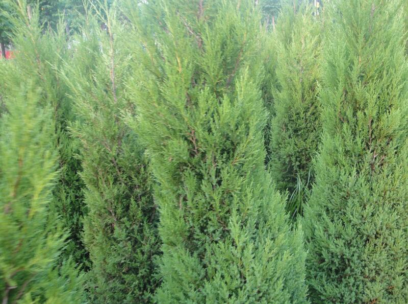 1644075828211421.jpg 1644075828211421.jpg