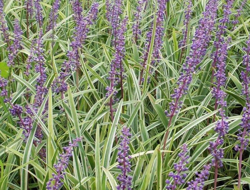 1644076659965818.jpg 1644076659965818.jpg