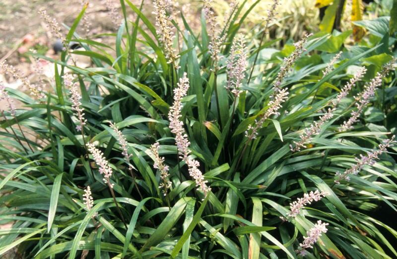 1644076659987450.jpg 1644076659987450.jpg