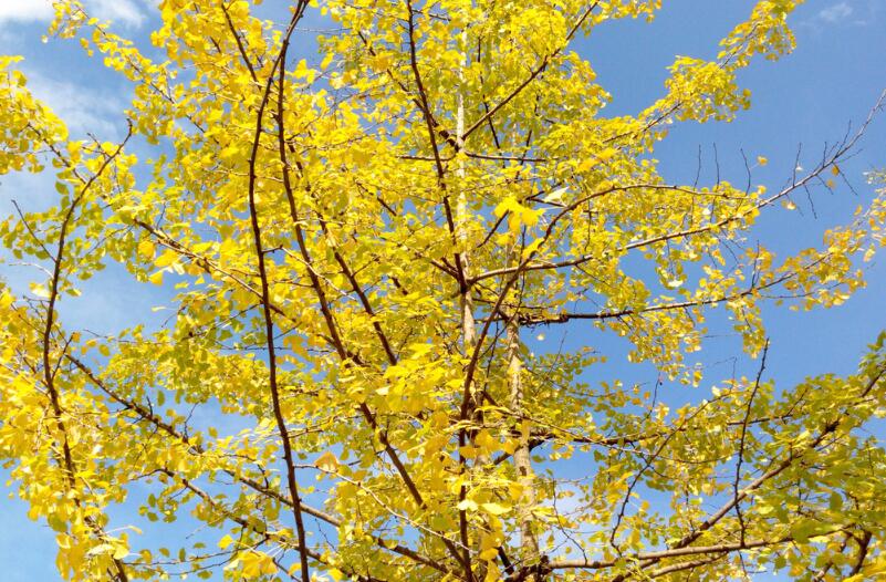 1644076715830349.jpg 1644076715830349.jpg