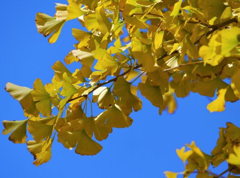 1644076715921512.jpg 1644076715921512.jpg