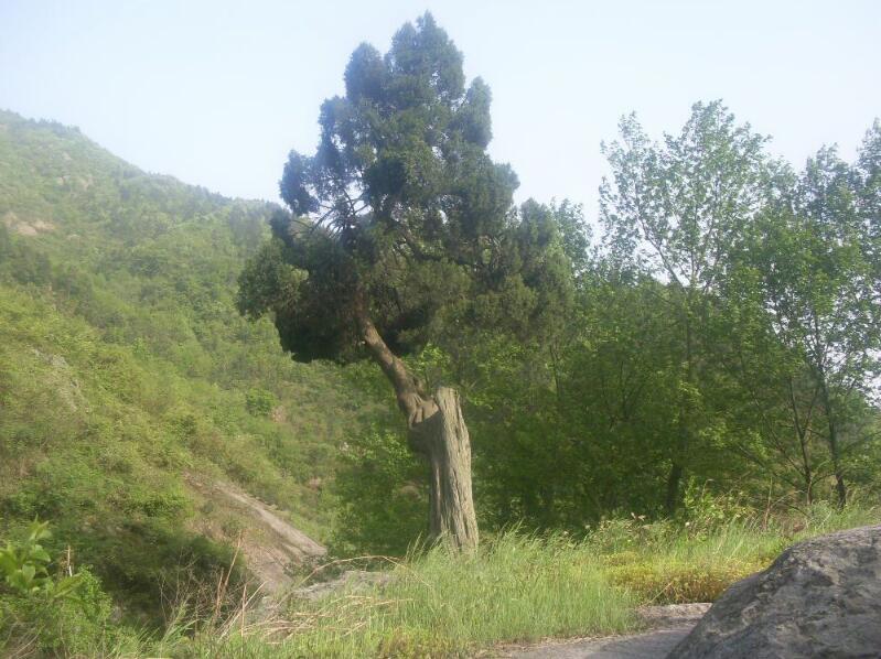 1644081229915488.jpg 1644081229915488.jpg