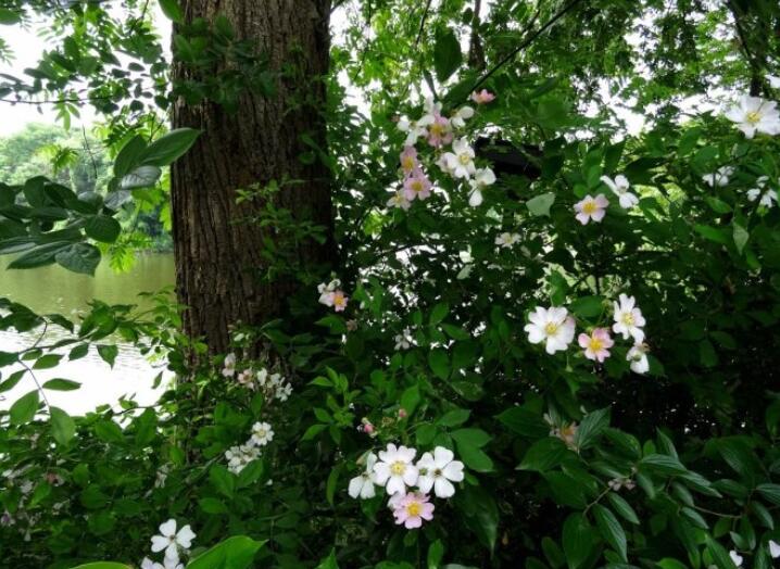 1644118300517689.jpg 1644118300517689.jpg