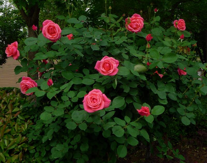 1644120457330924.jpg 1644120457330924.jpg