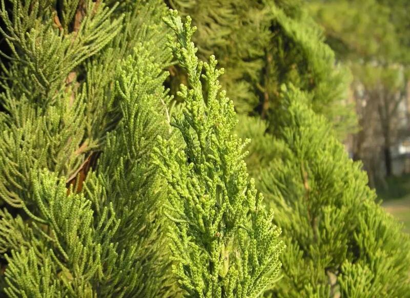 1644120583510018.jpg 1644120583510018.jpg