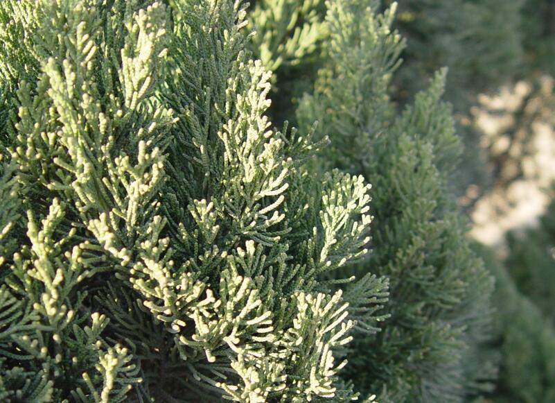 1644120583923037.jpg 1644120583923037.jpg