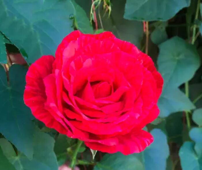 1644124600864107.jpg 1644124600864107.jpg