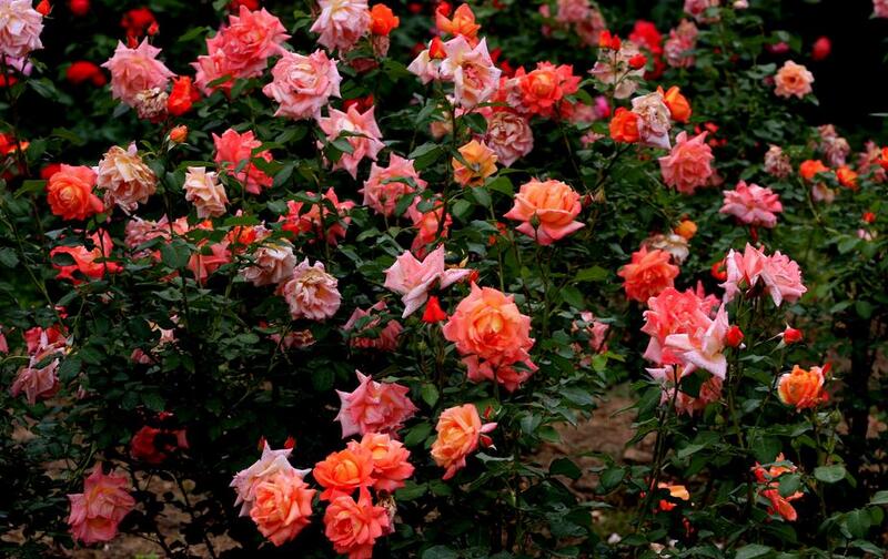 1644126200878366.jpg 1644126200878366.jpg