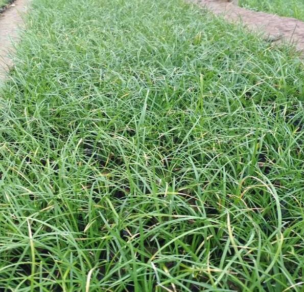 1644126491423030.jpg 1644126491423030.jpg