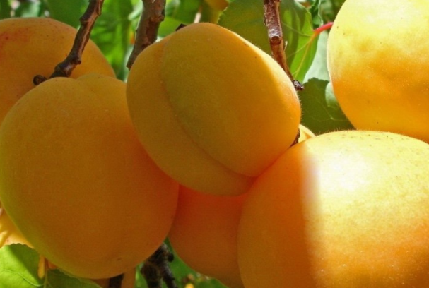 1644221826102397.png 1644221826102397.png