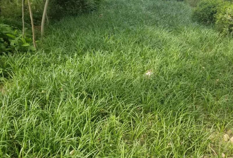 1644289232188949.jpg 1644289232188949.jpg