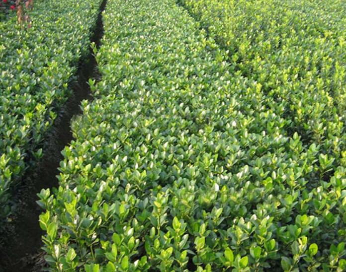 1644289910875713.jpg 1644289910875713.jpg