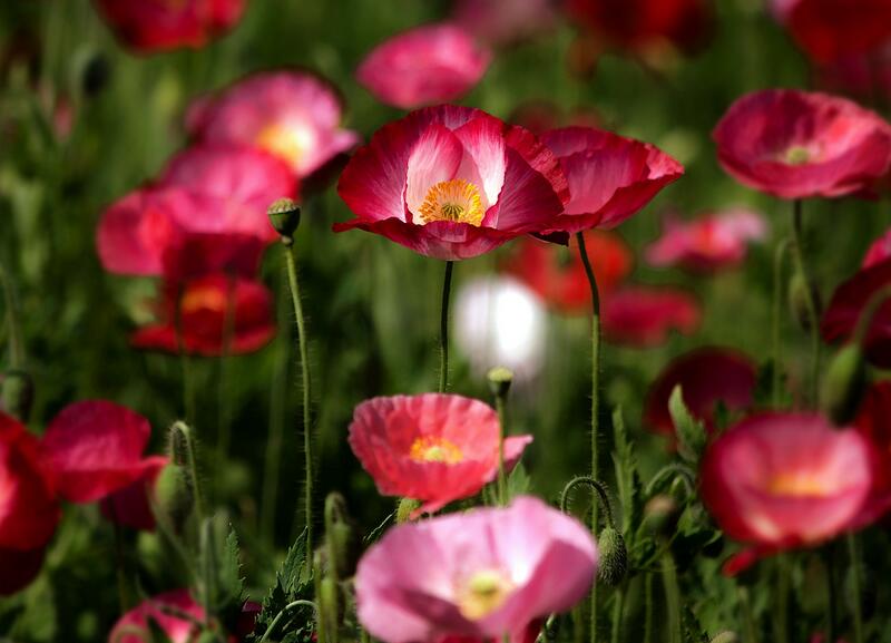 1644730203339557.jpg 1644730203339557.jpg