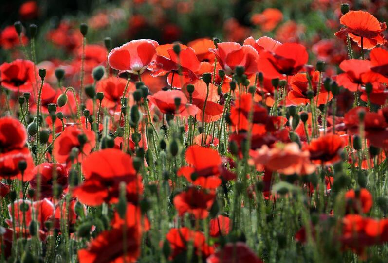 1644730203996367.jpg 1644730203996367.jpg