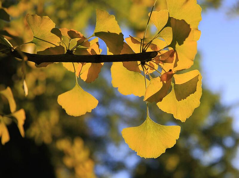 1644730831190192.jpg 1644730831190192.jpg