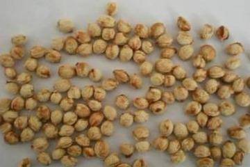 1644837538897642.jpeg 1644837538897642.jpeg