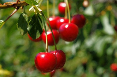 1644837559400192.jpg 1644837559400192.jpg