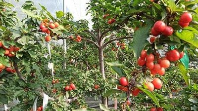 1644837589458954.jpg 1644837589458954.jpg