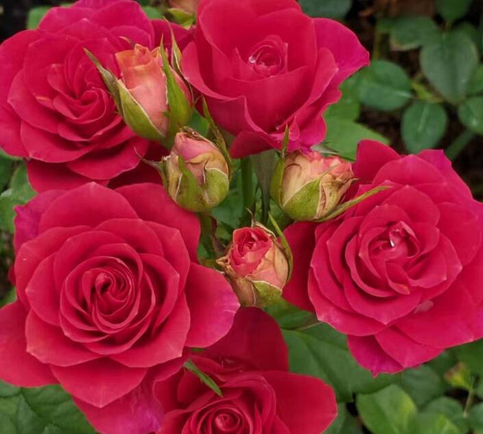 1644898408927160.jpg 1644898408927160.jpg