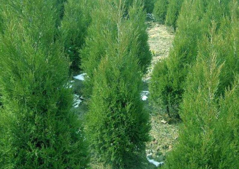 1644936518545964.jpg 2.jpg