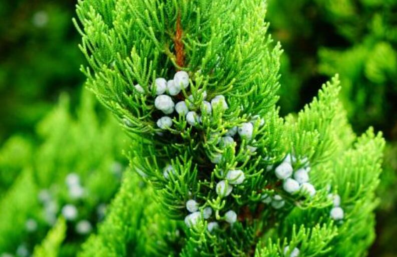 1644936527939937.jpg 3.jpg