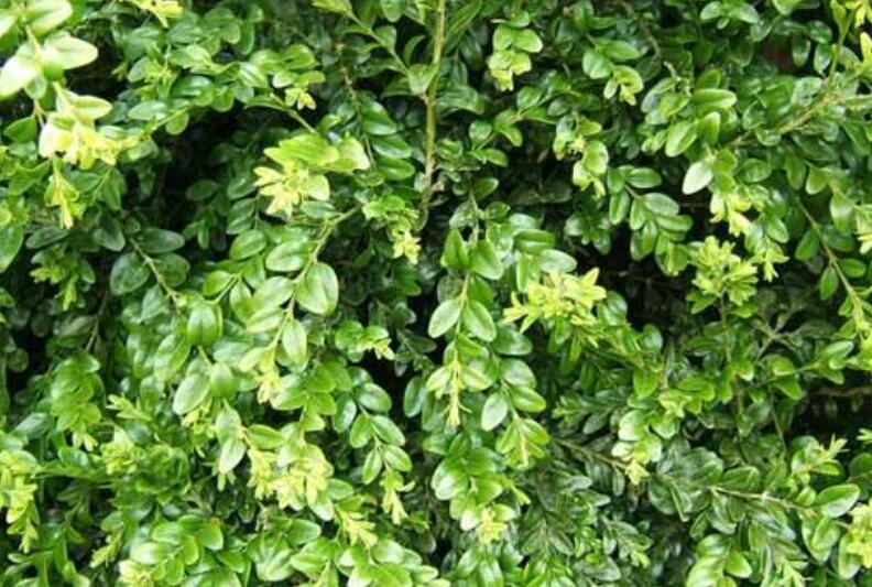 1644937451554329.jpg 1.jpg